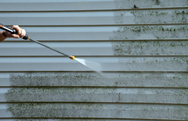 Best Patio and Deck Pressure Washing  in Raytown, MO